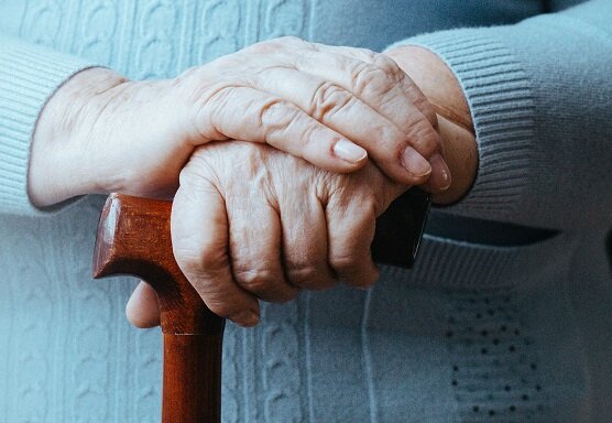 نویدی برای درمان بیماری پارکینسون با محصولی گیاهی 2