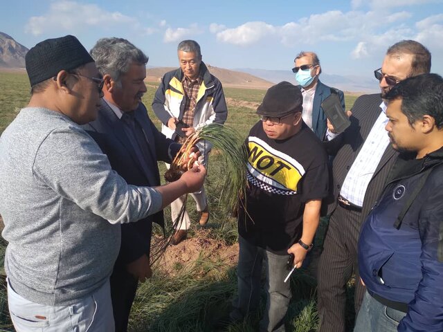 بازدید گردشگران خارجی از جاذبههای تاریخی خراسان رضوی