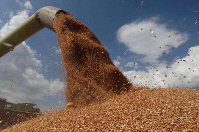 گرسنگی جهان، از پیامدهای جنگ روسیه و اوکراین!؟ گرسنگی جهان، از پیامدهای جنگ روسیه و اوکراین!؟