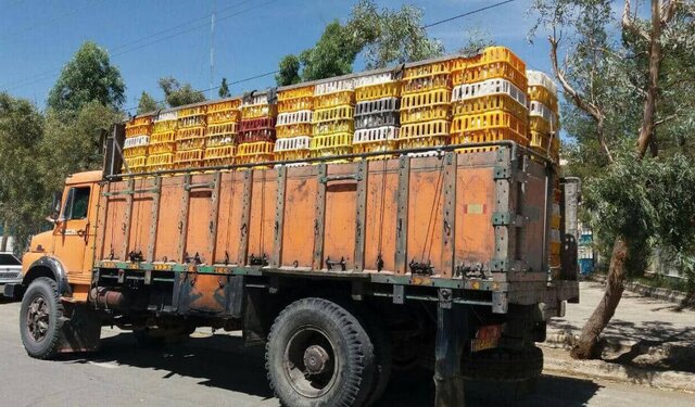 ع توقیف محموله قاچاق مرغ در خواف