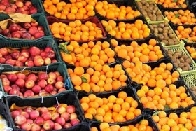آغاز توزیع میوه تنظیم بازار در مشهد