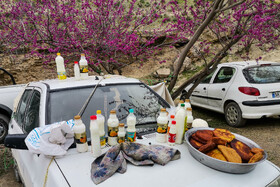 ایران زیباست؛ دره «ارغوان» 2