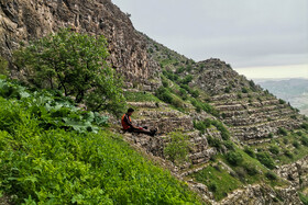ایران زیباست؛ دره «ارغوان» 18