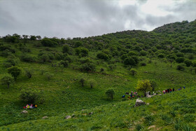 ایران زیباست؛ دره «ارغوان» 24