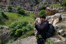 ایران زیباست؛ دره «ارغوان» 28