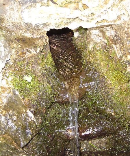 از یادگارهای امام هشتم در ایران چه میدانید؟