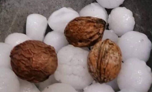 بارش تگرگ شهروندان نیشابور را غافلگیر کرد