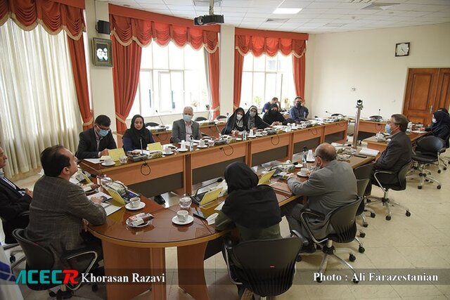 مزیت سلولهای بنیادی قابلیت بالای درمانی آن است