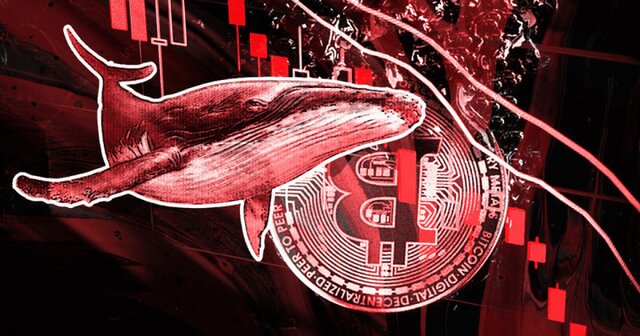 نهنگها نزول دوباره بیتکوین را در سر دارند نهنگها نزول دوباره بیتکوین را در سر دارند