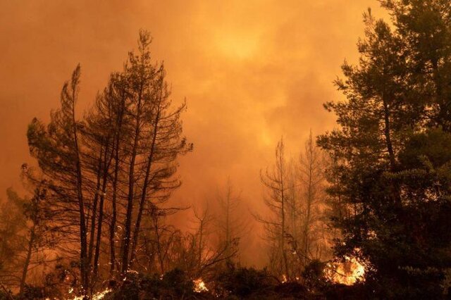 عامل ۱۰ درصد سرطان‌ها چیست؟