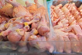 کشف بیش از نیم تن مرغ تاریخ گذشته از یک فروشگاه در کاشمر