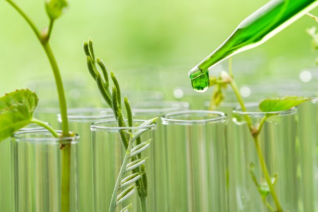 علوم پایه چگونه به توسعه پایدار کمک میکند؟