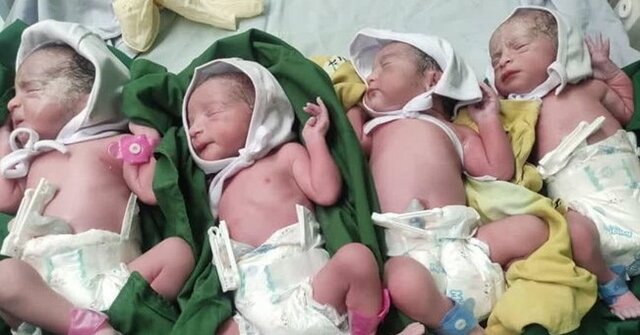 عکس اینترنتی است هنرمندان فریمانی نیازهای اولیه یک ماه ۴ قلوهای این شهرستان را تامین کردند