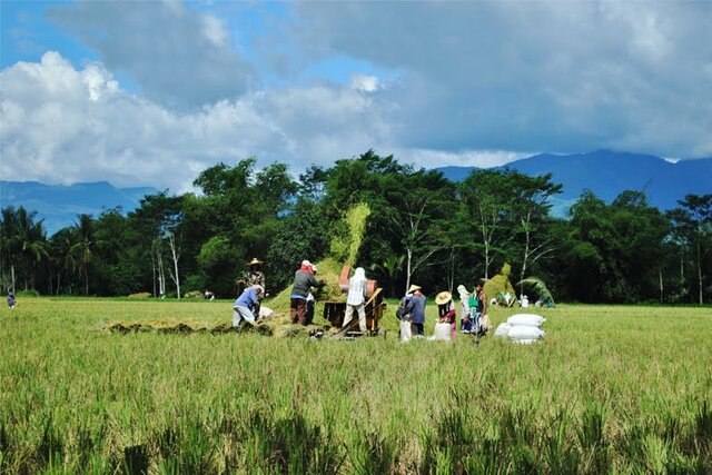 عکس تزئینی است اگروتوریسم در خراسان رضوی فراگیر خواهد شد