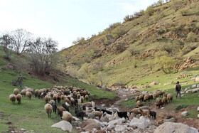 ۹۰ درصد خلیل‌آباد در معرض بیابانی شدن است