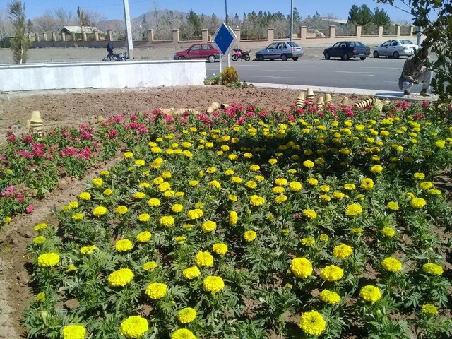 فرش سبز بهاری سبزوار برای استقبال از میهمانان نوروزی