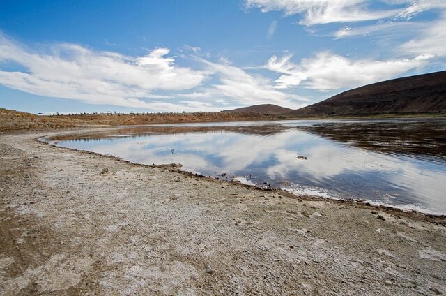 مرگ حیات وحش در سایه خشکسالی دریاچه بزنگان