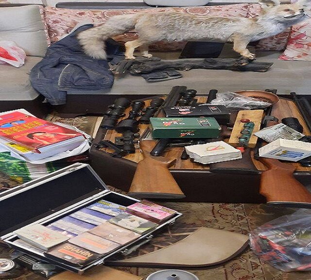 دستگیری یک شکارچی و کشف سلاح غیرمجاز و لاشه چندین حیوان مختلف دستگیری یک شکارچی و کشف سلاح غیرمجاز و لاشه چندین حیوان مختلف