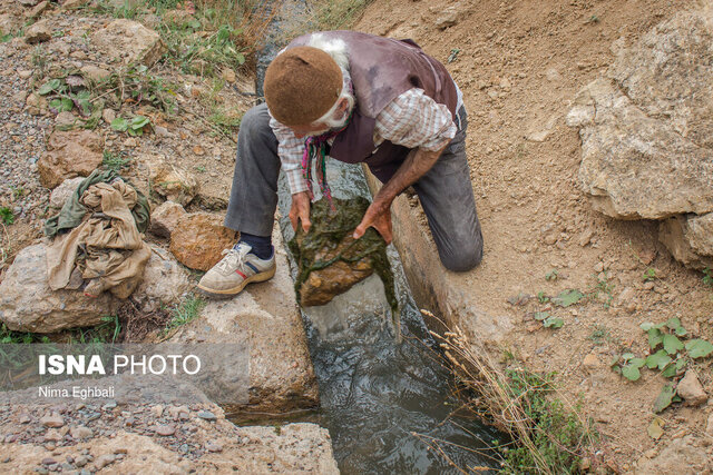 عکس از آرشیو است امیران آب و تقسیم آبی که قانون داشت