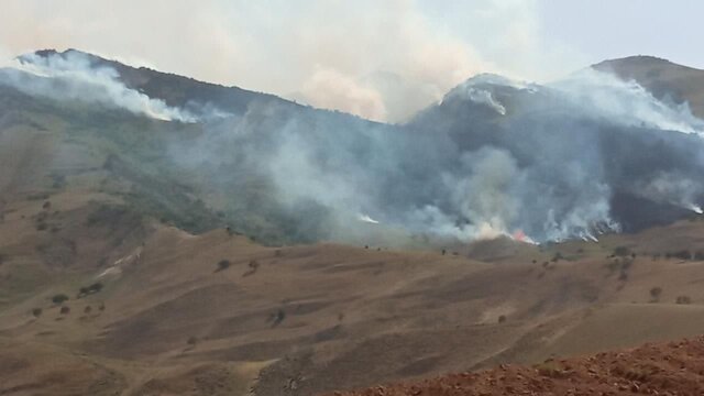 عکس تزئینی است. احتمال افزایش میزان حریق مرتعی و جنگلی در فارس