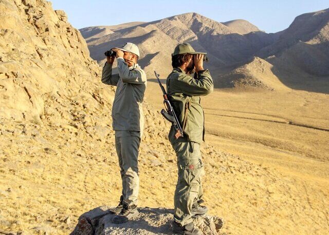 عکس تزئینی ست کشف قوچ وحشی زنده و دستگیری ۲شکارچی