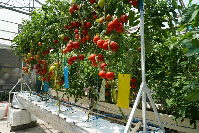 نقش و برنامههای جهاددانشگاهی برای کاهش بحران آبی کشور