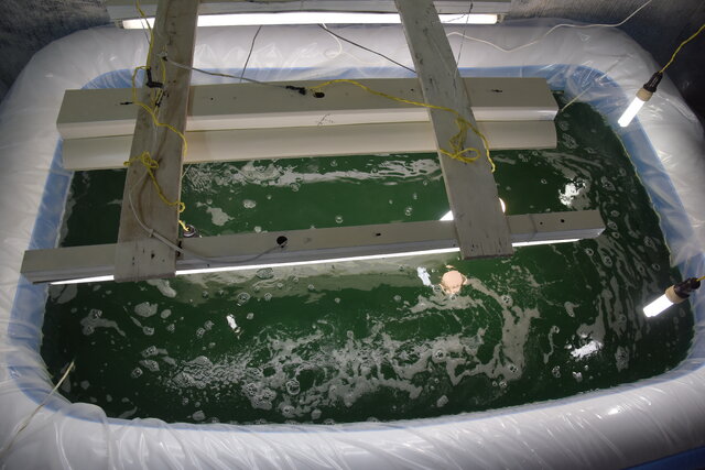 نقش و برنامههای جهاددانشگاهی برای کاهش بحران آبی کشور