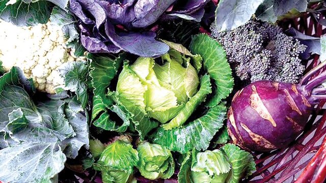 کدام سبزی در برابر آنفلوآنزا حفاظت ایجاد میکند؟