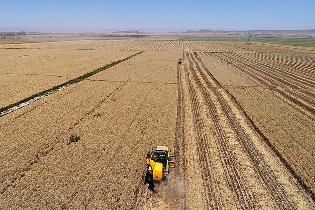 فراهم شدن "یکپارچگی اراضی کشاورزی" با اتمام طرح رفع تداخلات در استان سمنان فراهم شدن "یکپارچگی اراضی کشاورزی" با اتمام طرح رفع تداخلات در استان سمنان
