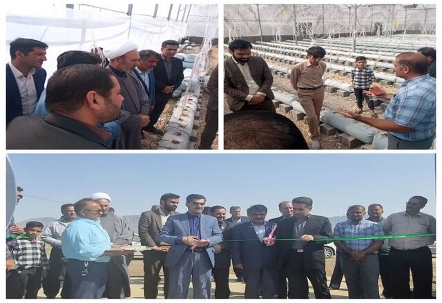 صرفهجویی یک میلیون مترمکعبی آب در اراضی کشاورزی نیشابور