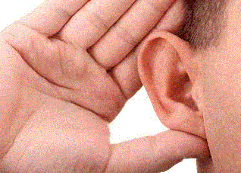 این افراد کمحرف اما پرتوان هستند