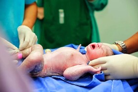 ولادت‌ها در تربت‌جام ۷.۵ درصد رشد یافت/کاهش آمار فوت شدگان
