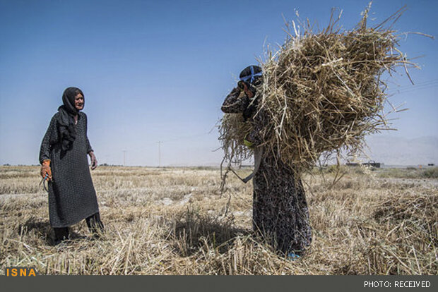 مهمترین چالش محیط زیست عدم تعادل بین ظرفیت زیستی و ردپای زیستی است