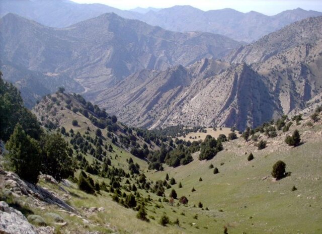 عکس از آرشیو است دست زمینخواران از مناطق ارس سیستان کوتاه شد