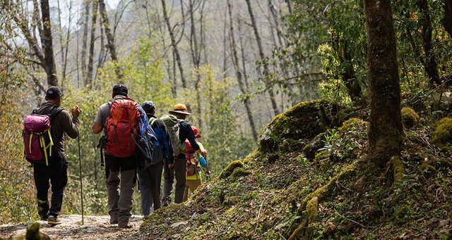 عکس تزئینی است گردشگری مسئولانه یک جنبش جهانی در حال رشد است