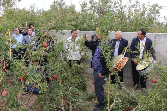 حضور ۱۳ تور گردشگری همزمان با برپایی جشنواره انار در باغات شهرستان بجستان حضور ۱۳ تور گردشگری همزمان با برپایی جشنواره انار در باغات شهرستان بجستان