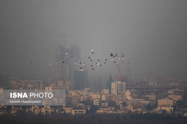 عکس از آرشیو است تعطیلی تمامی مدارس طرقبه و شاندیز به دلیل آلودگی هوا