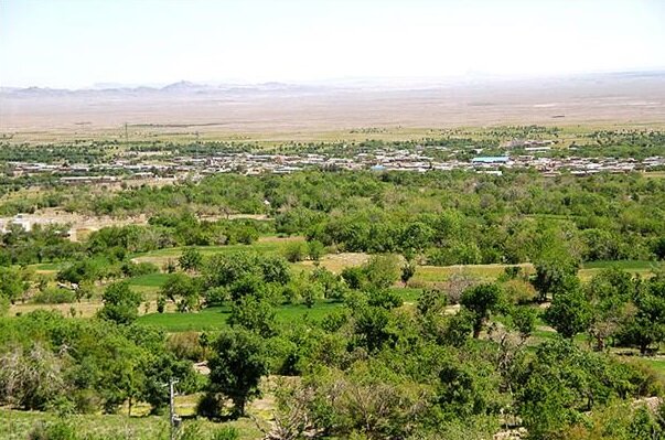 عکس از اینترنت است رونق کشاورزی و اشتغال پایدار در زعفرانیترین روستای جهان