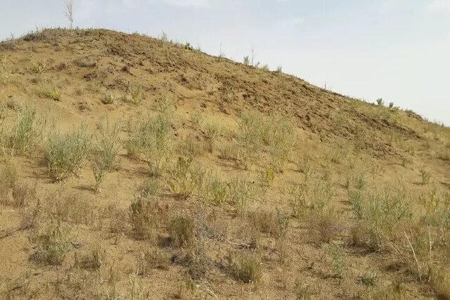 وقتی نفس مردم سرخس فدای چاق کردن قلیان سودجویان میشود