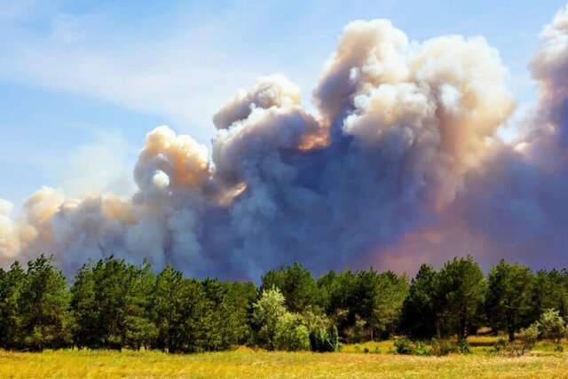 آنچه در قبال زمین وظیفه داریم