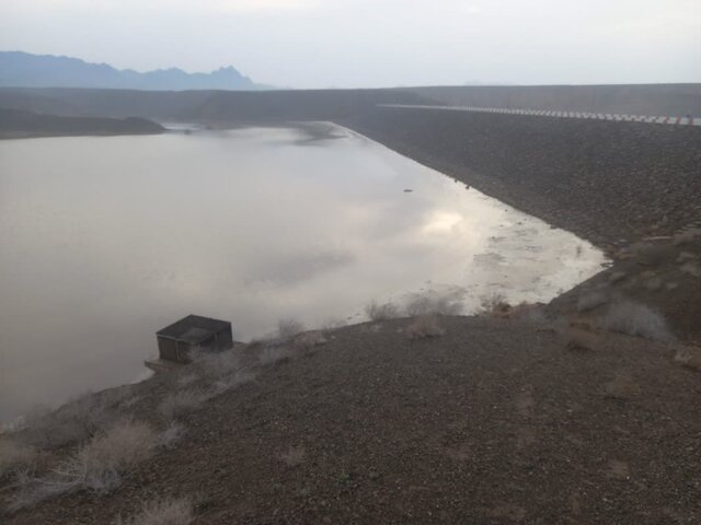 ملّو از کما بیرون آمد ملّو از کما بیرون آمد