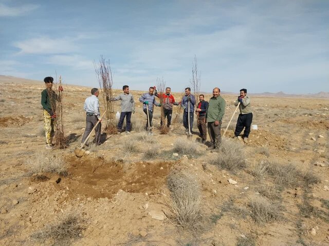 غرس ۱۲هزار اصله نهال بادام توسط اهالی روستای زیگ نیشابور