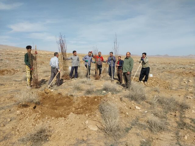 غرس ۱۲هزار اصله نهال بادام توسط اهالی روستای زیگ نیشابور غرس ۱۲هزار اصله نهال بادام توسط اهالی روستای زیگ نیشابور