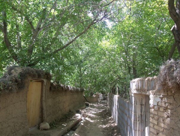 جغتای شهری آرمیده بر کوهپایههای شمالی