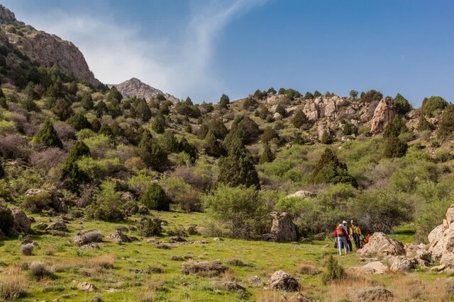گشتی در میراث بازمانده از دوران اسلامی با سفر به تربتجام