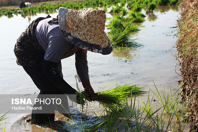 ۱۴۳ کیلومتر مرز مشترک با ترکمنستان فرصتی مناسب برای توسعه فعالیتهای بازرگانی خارجی