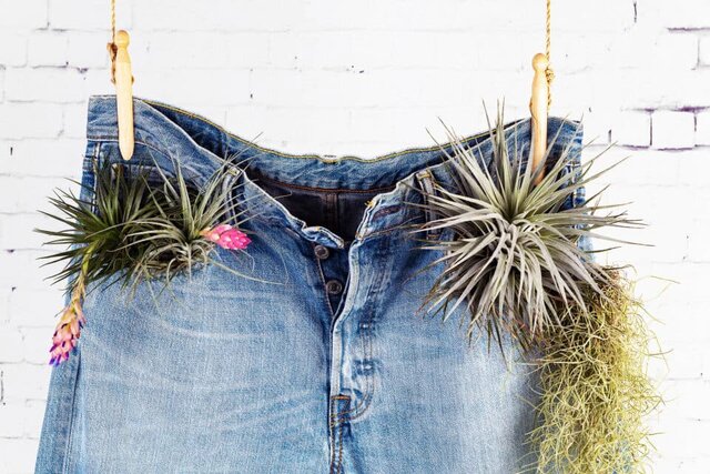 شلوار جین برای محیط زیست مضر است؟