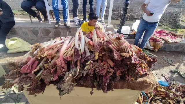 چهارمین جشنواره ریواس و سبزیهای بومی در کوهسرخ برگزار شد