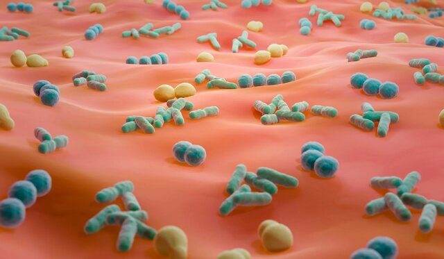 فضای سبز و تقویت سلامت میکروبیوتای روده و پوست