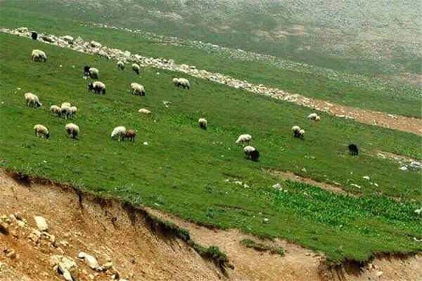 ورود زودهنگام عشایر و دامداران به مراتع پناهگاه حیاتوحش حیدری ممنوع شد ورود زودهنگام عشایر و دامداران به مراتع پناهگاه حیاتوحش حیدری ممنوع شد